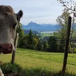 Alpenblick 10, Bergblick Pur Im Allgaeu * Halblech