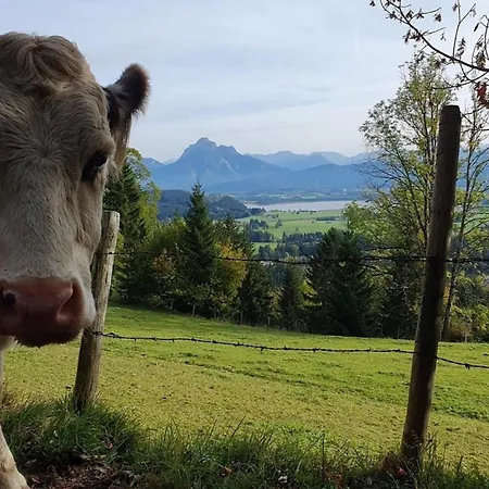 Alpenblick 10, Bergblick Pur Im Allgaeu * Хальблех
