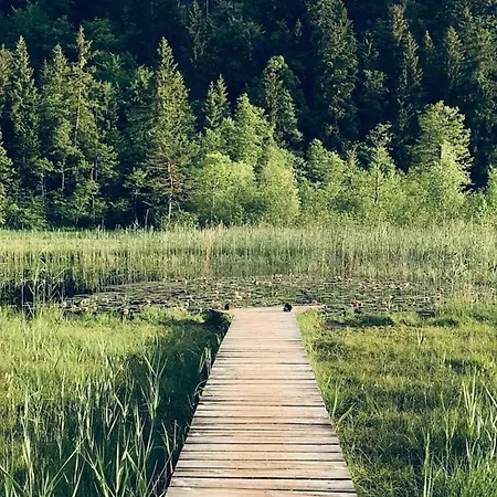 Alpenblick 10, Im Allgaeu, Bergblick Pur - Neueroeffnung!