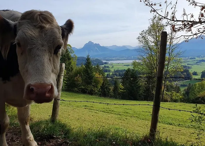 Alpenblick 10, Im Allgäu, Bergblick Pur - Neueröffnung! * Halblech