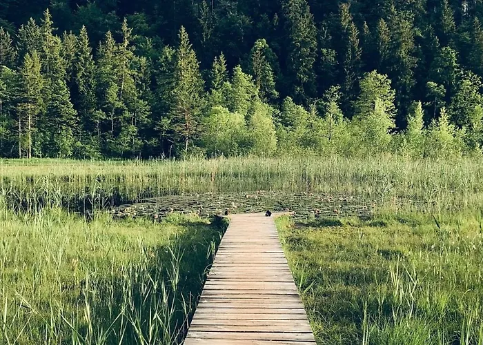 Alpenblick 10, Im Allgäu, Bergblick Pur - Neueröffnung!