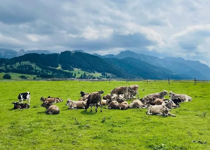 Alpenblick 10, Im Allgäu, Bergblick Pur - Neueröffnung! *