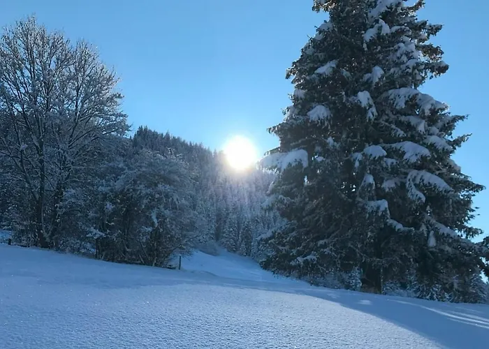 Alpenblick 10, Im Allgäu, Bergblick Pur - Neueröffnung!